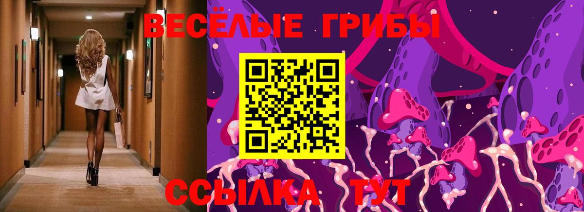 Галлюциногенные грибы мицелий Кириши