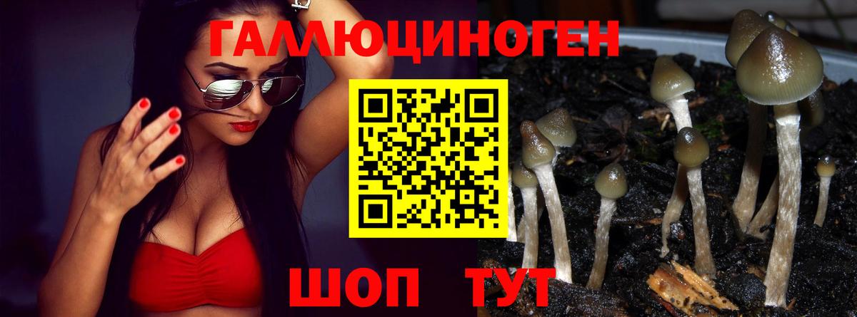 закладка  Псилоцибиновые грибы мухоморы  Вход с VPN  Кириши 