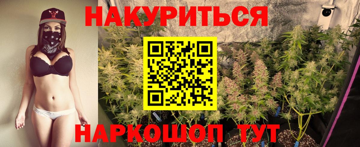 Бошки марихуана план Кириши